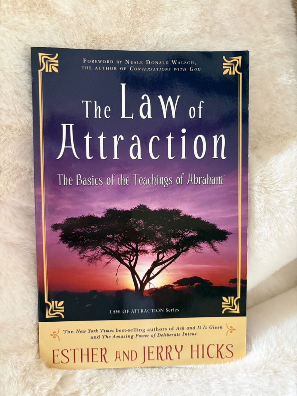The Law of Attraction by Esther and Jerry Hicks